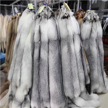 Tấm lông Ermine